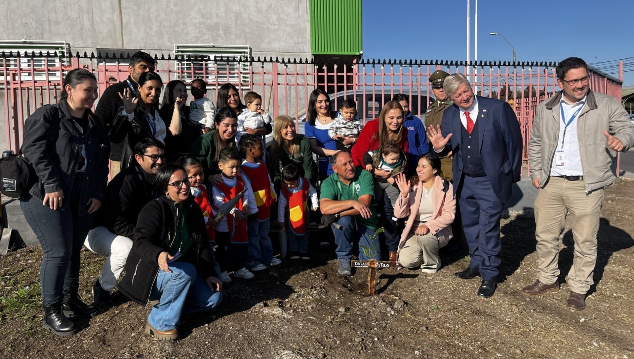 /curico-celebra-dia-de-la-tierra-con-arboles-nativos