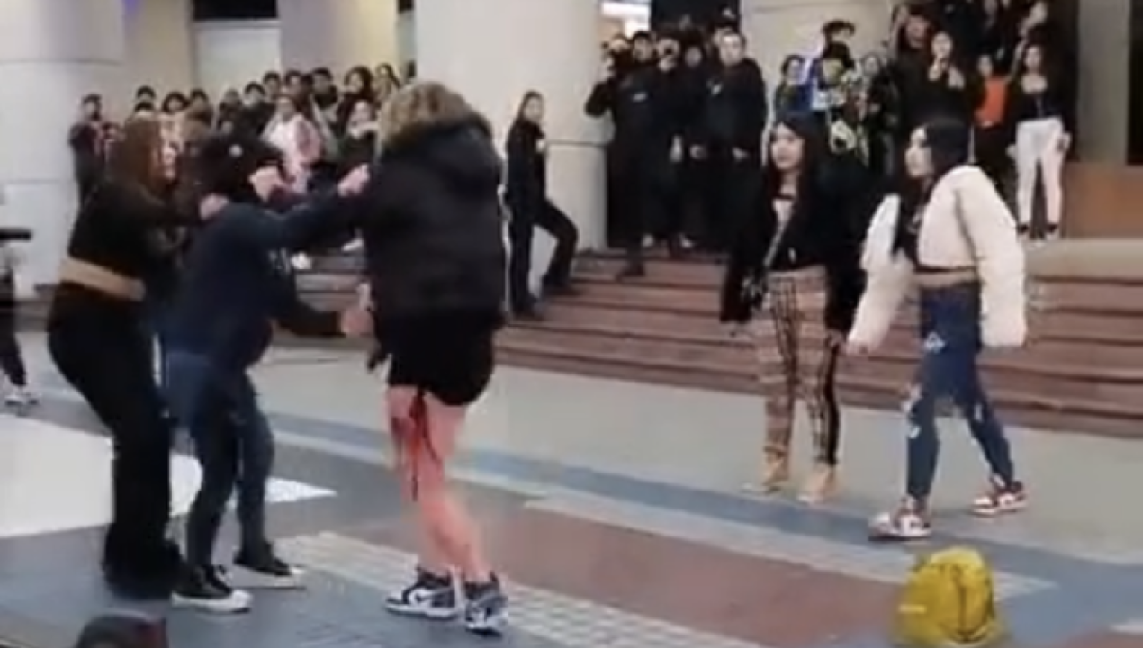 /violenta-pelea-afuera-del-mall-costanera-termina-con-una-mujer-detenida-en