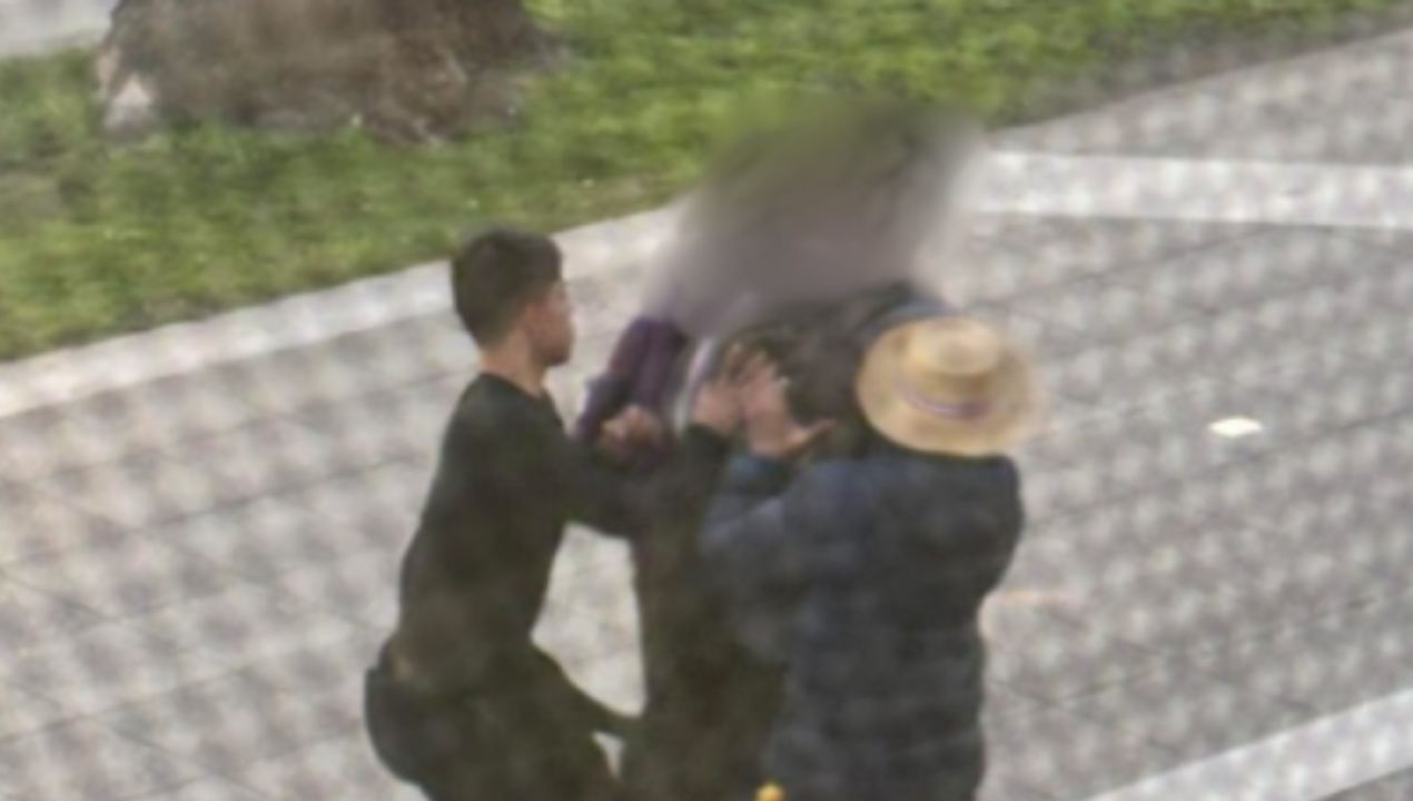 /regionales/region-de-valparaiso/carabineros-detiene-a-cinco-menores-por-asalto-y-porte-de-drogas