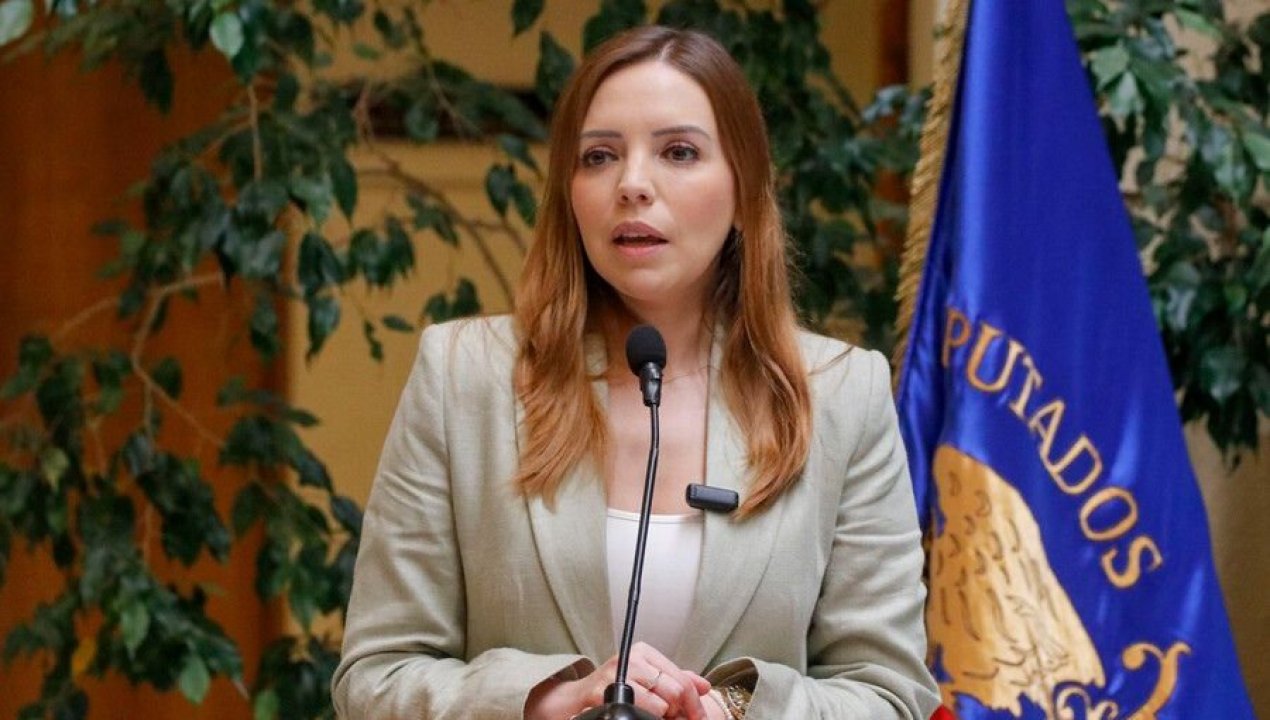 /actualidad/politica/admiten-querella-contra-camila-flores-por-caso-cuota-flores-tras-negativa
