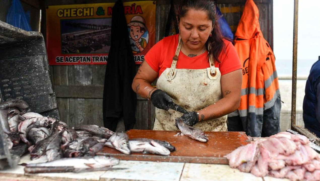 /actualidad/nuevo-proyecto-de-ley-busca-dar-respaldo-legal-y-estabilidad-a-mujeres-de
